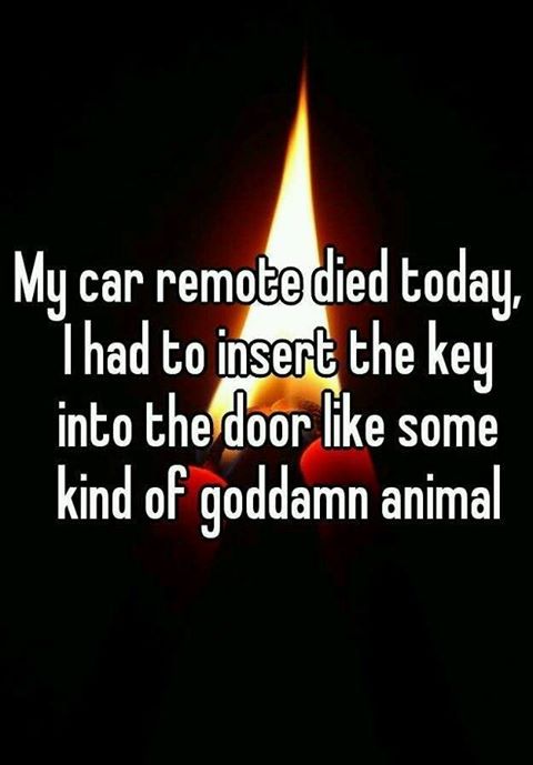 bad karma - My car remote died today I had to insert the key into the door some kind of goddamn animal