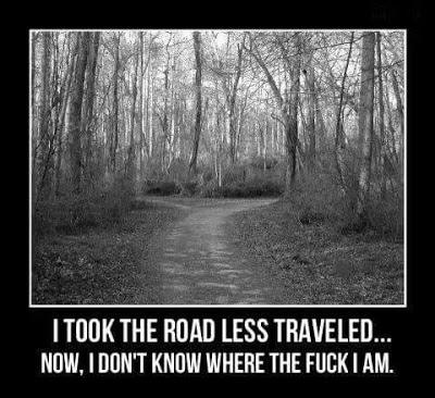 travel the road less traveled - I Took The Road Less Traveled.. Now, I Don'T Know Where The Fuck I Am.