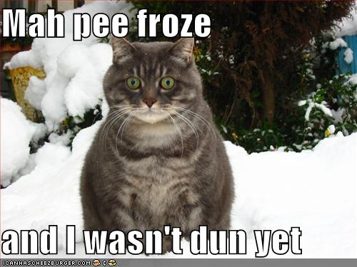21 Funny SNOW moments