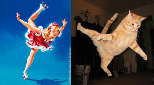 Pinups and cats