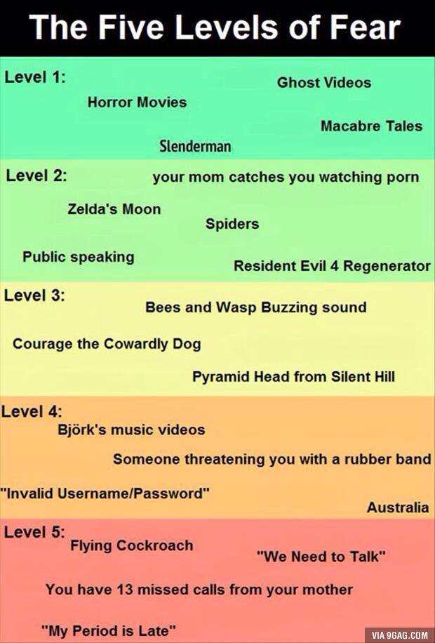 levels of fear - The Five Levels of Fear Level 1 Ghost Videos Horror Movies Macabre Tales Slenderman Level 2 your mom catches you watching porn Zelda's Moon Spiders Public speaking Resident Evil 4 Regenerator Level 3 Bees and Wasp Buzzing sound Courage th