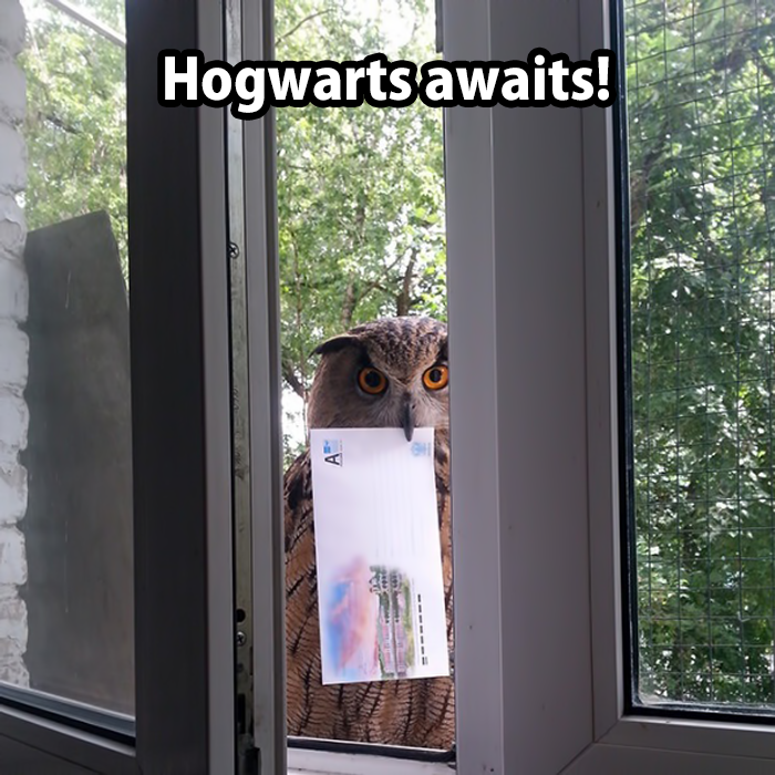 Hogwarts awaits!