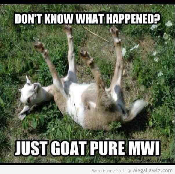 goat fainting - Don'T Know What Happened? Just Goat Pure Mwi Make a Meme More Funny Stuff @ MegaLawlz.com