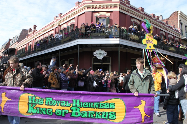 The Krewe of Barkus goes to the dogs- literally. The royal court is always made of the best rescue stories-