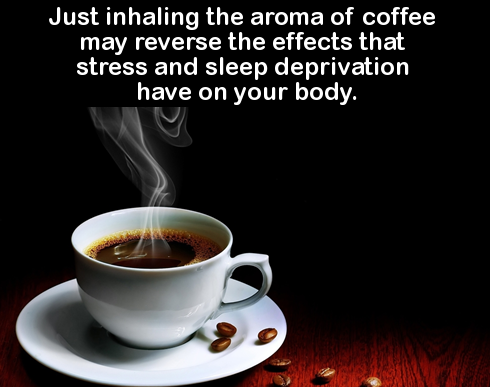 cup of coffee - Just inhaling the aroma of coffee may reverse the effects that stress and sleep deprivation have on your body.