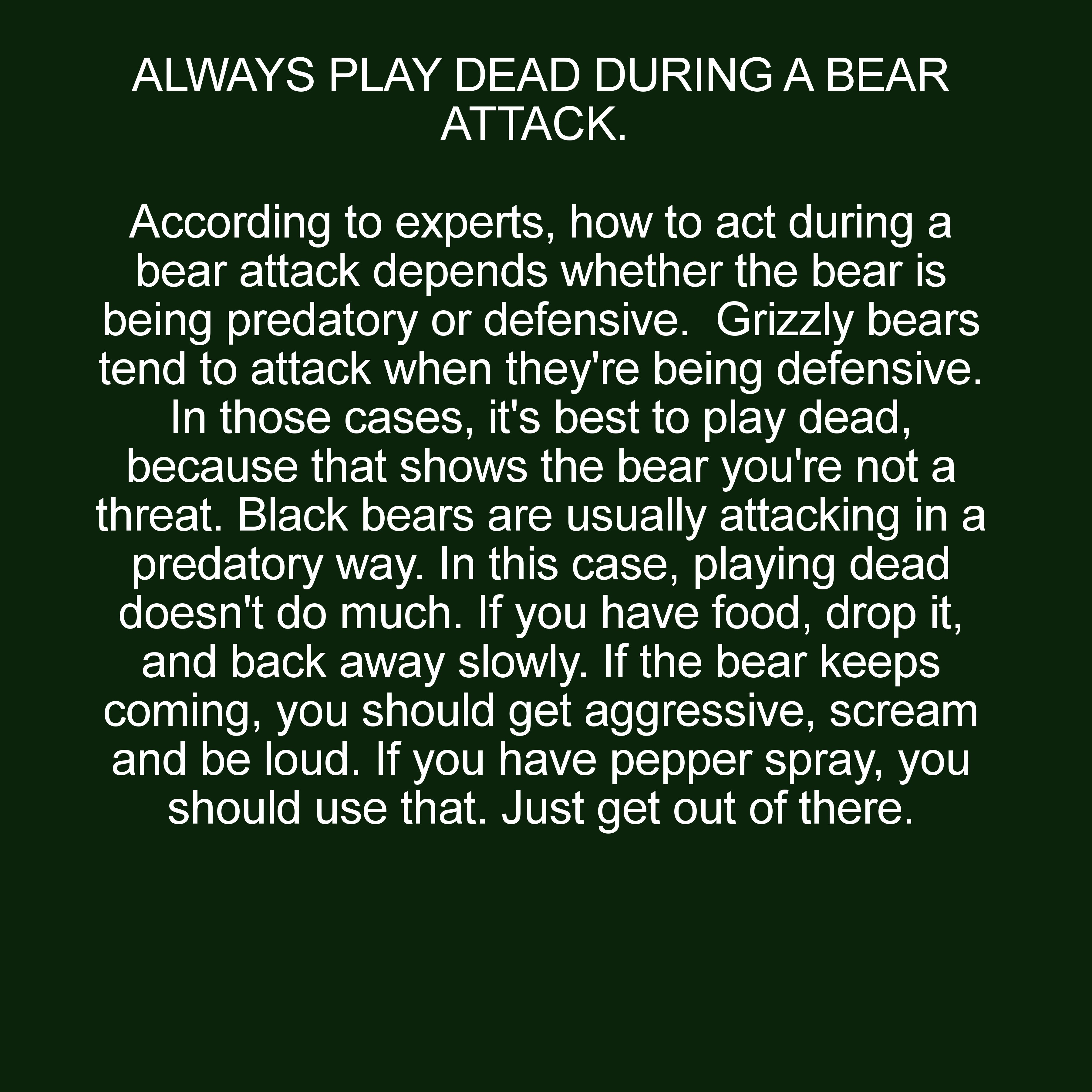 grass - Always Play Dead During A Bear Attack. According to experts, how to act during a bear attack depends whether the bear is being predatory or defensive. Grizzly bears tend to attack when they're being defensive. In those cases, it's best to play dea