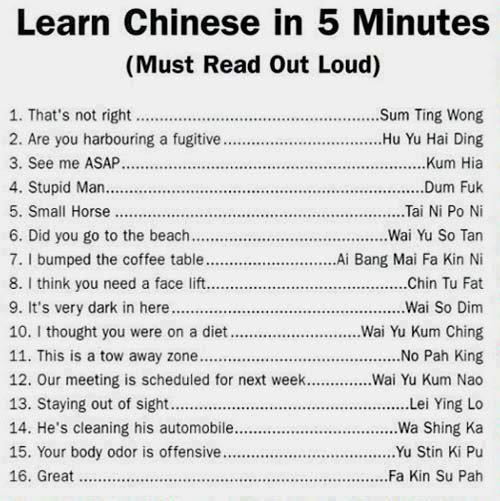 Just forget St. Patricks Day and learn some Chinese- dare to be different!