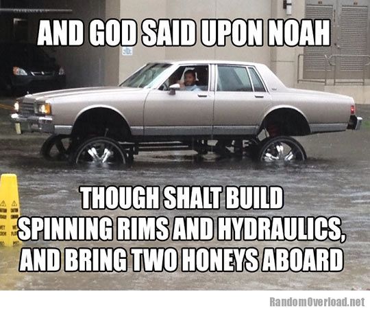 funny meme of car jacked up high in floodwater