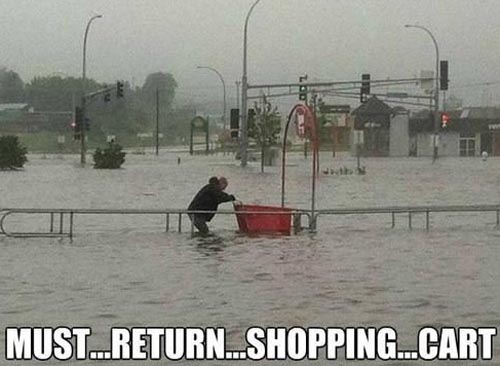 funny picture of person returning shopping cart in a flood