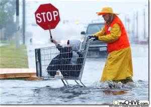 funny picture of kid in a shopping cart being pushed in flood water with stop sign in his hand
