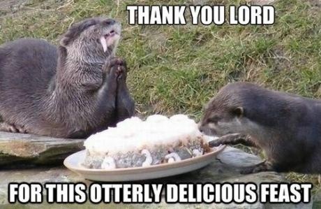 I told you the puns were otterly awful