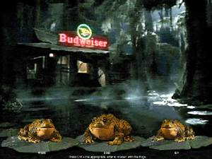 budweiser frogs - Budu