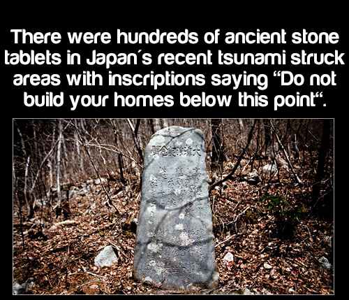 soil - There were hundreds of ancient stone tablets in Japan's recent tsunami struck areas with inscriptions saying Do not build your homes below this point. Bas