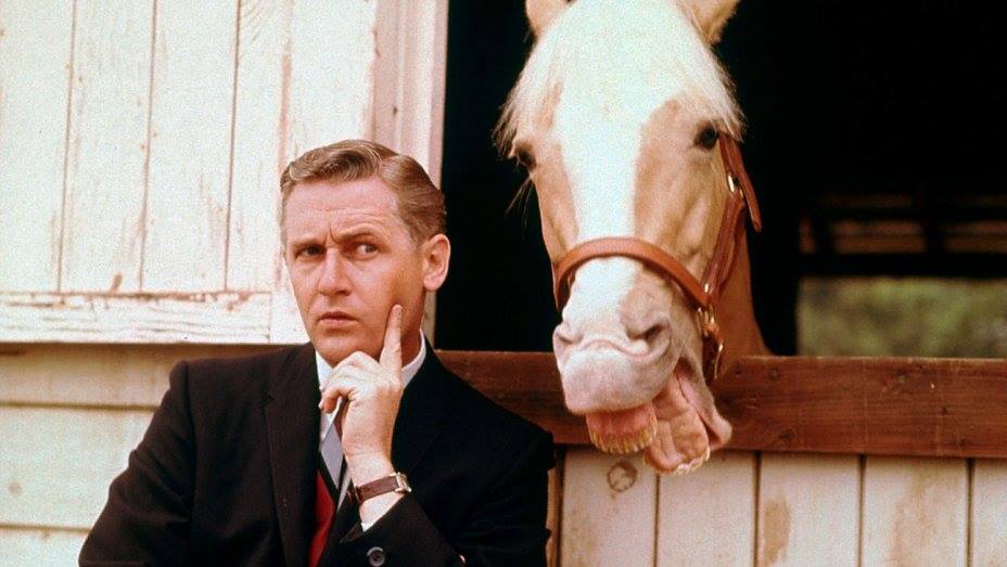 Hello, I'm Mr. Ed... A horse is a horse of course of course.....