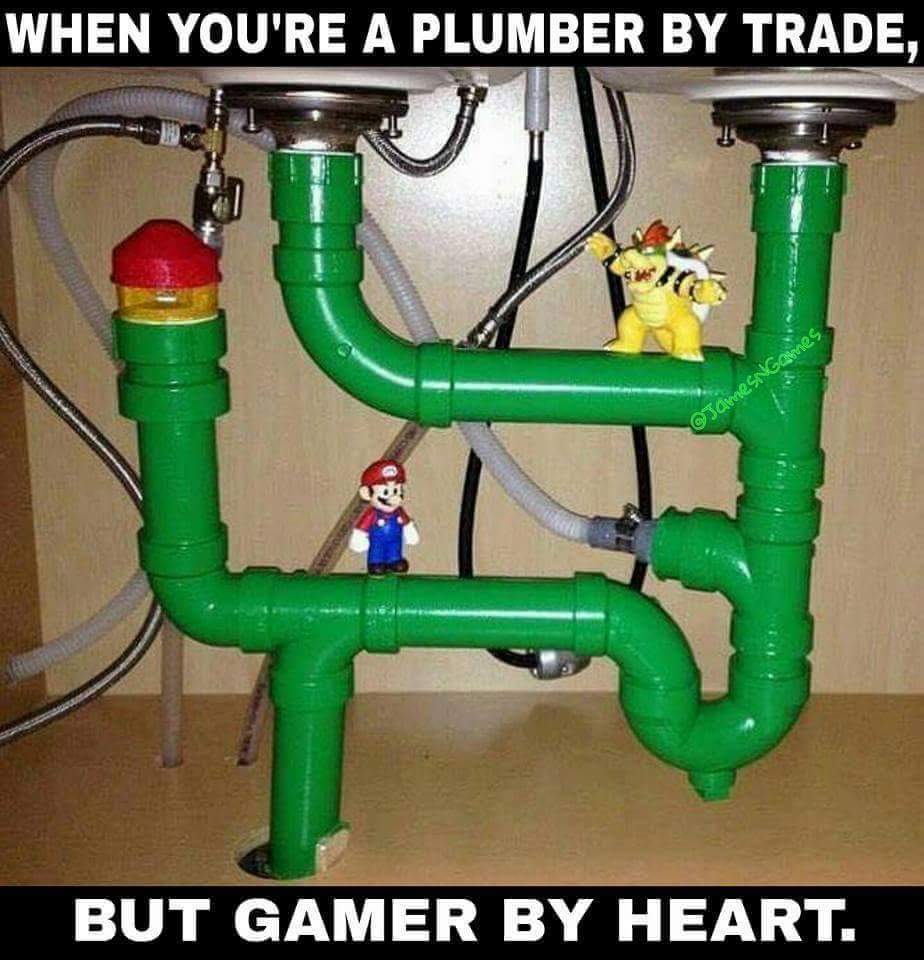 you had one job meme - When You'Re A Plumber By Trade, JamesnGames But Gamer By Heart.