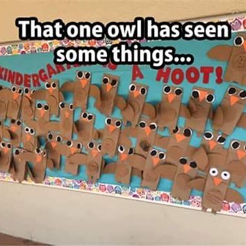 random pic owl has seen some things - O That one owl has seen some things.... ...Oot!