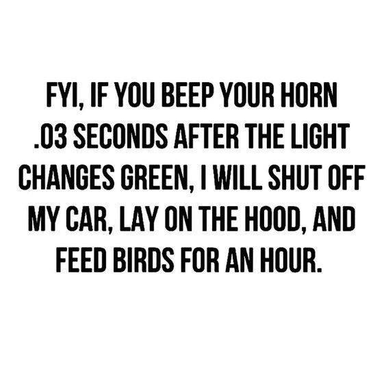 random pic Fyi, If You Beep Your Horn .03 Seconds After The Light Changes Green, I Will Shut Off My Car, Lay On The Hood, And Feed Birds For An Hour.