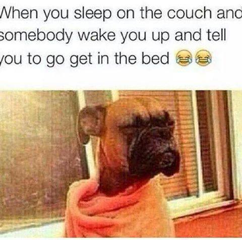 random pic you sleep on the couch meme - Nhen you sleep on the couch and somebody wake you up and tell you to go get in the bed 2