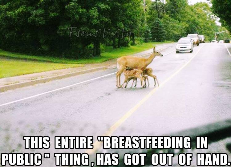 random pic This Entire "Breastfeeding In Public" Thing Has Got Out Of Hand.