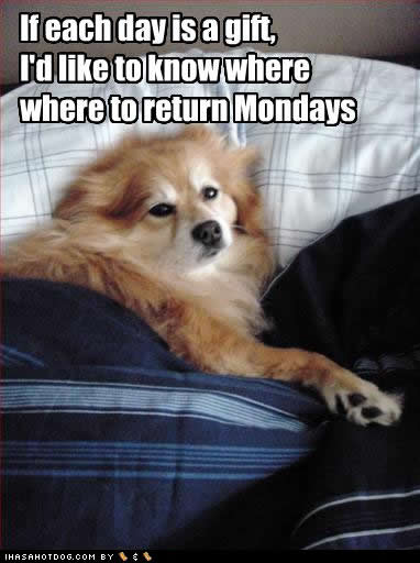 Monday, monday, MEH!