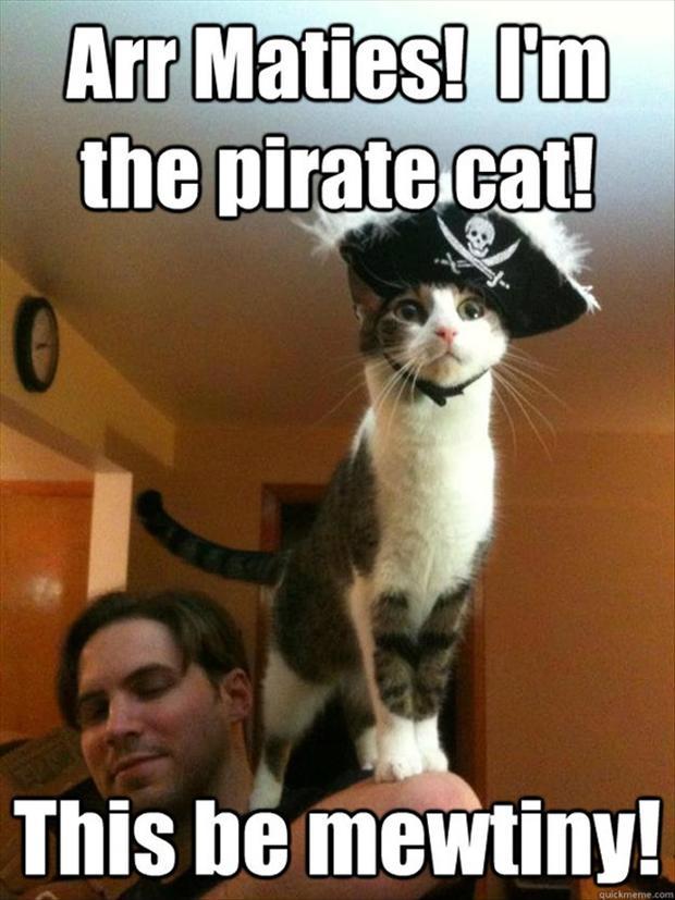 In honor of Talk like a Pirate Day