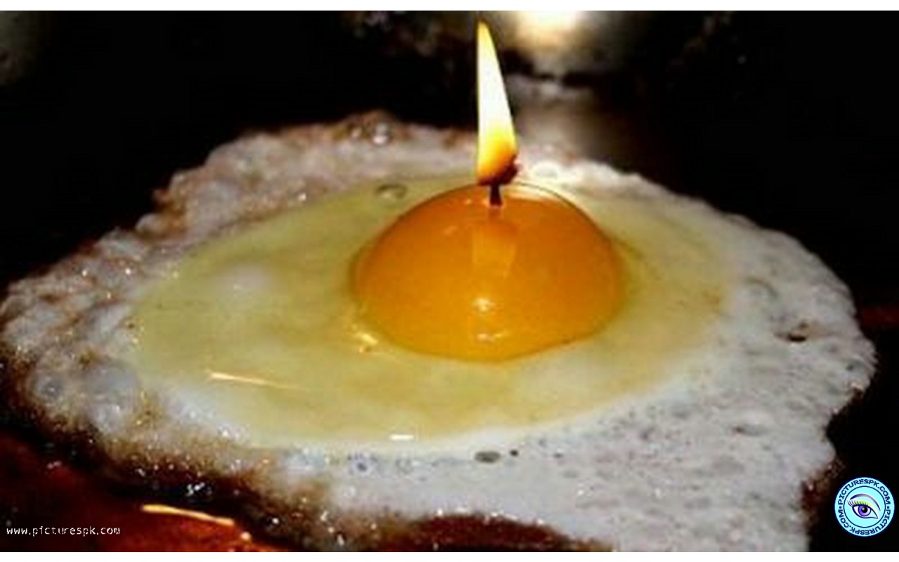 Celebrate World Egg Day