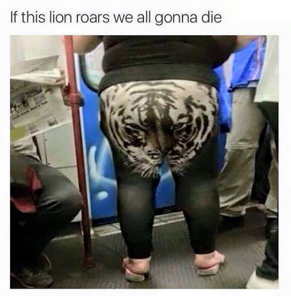rude funny - If this lion roars we all gonna die