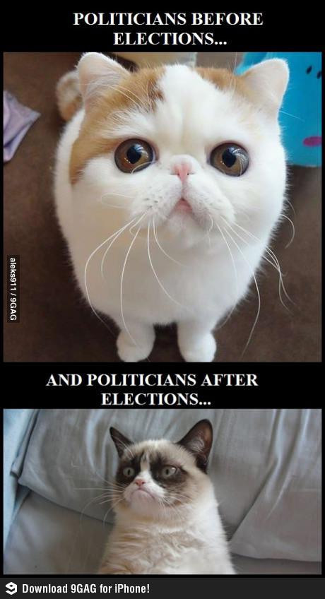 cat gifts memes - Politicians Before Elections... aleks911 9GAG And Politicians After Elections... 9 Download 9GAG for iPhone!