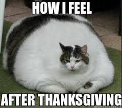 funny thanksgiving memes - How I Feel After Thanksgiving