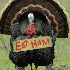 eat ham turkey - Eat Ham