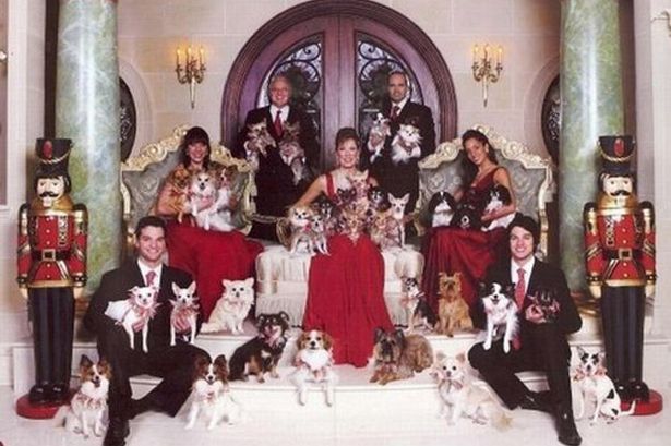 25 of the weirdest family Christmas pictures