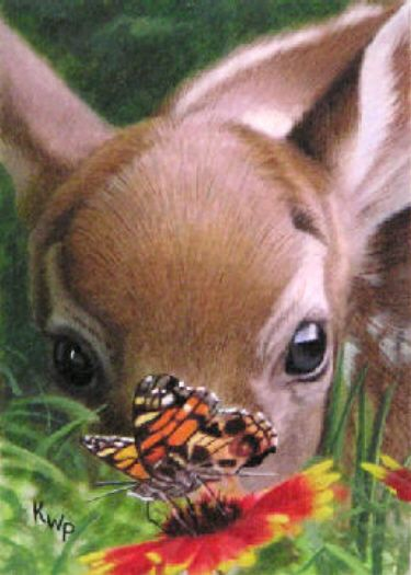 baby deer in flowers