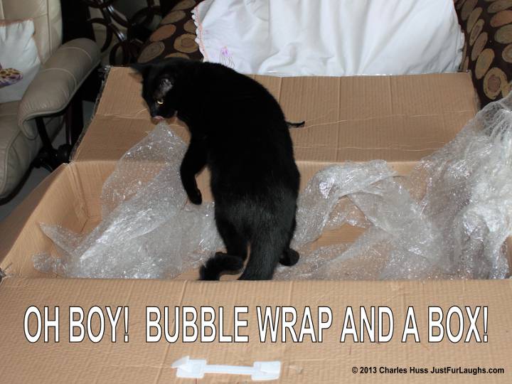 Happy Bubble Wrap Day