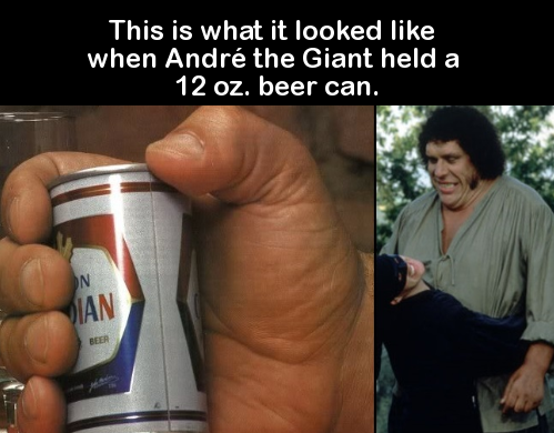 andre the giant holding a beer - This is what it looked when Andr the Giant held a 12 oz. beer can.