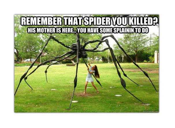 Funny meme of playground spider sculpture toy captioned as the mother of that spider you just killed earlier.