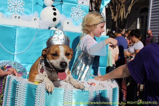 Mardi Gras went to the dogs
