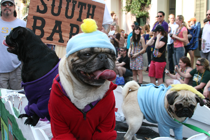 Mardi Gras went to the dogs