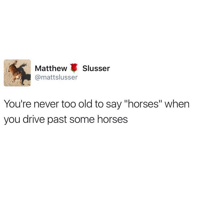 Matthew Slusser You're never too old to say "horses" when you drive past some horses