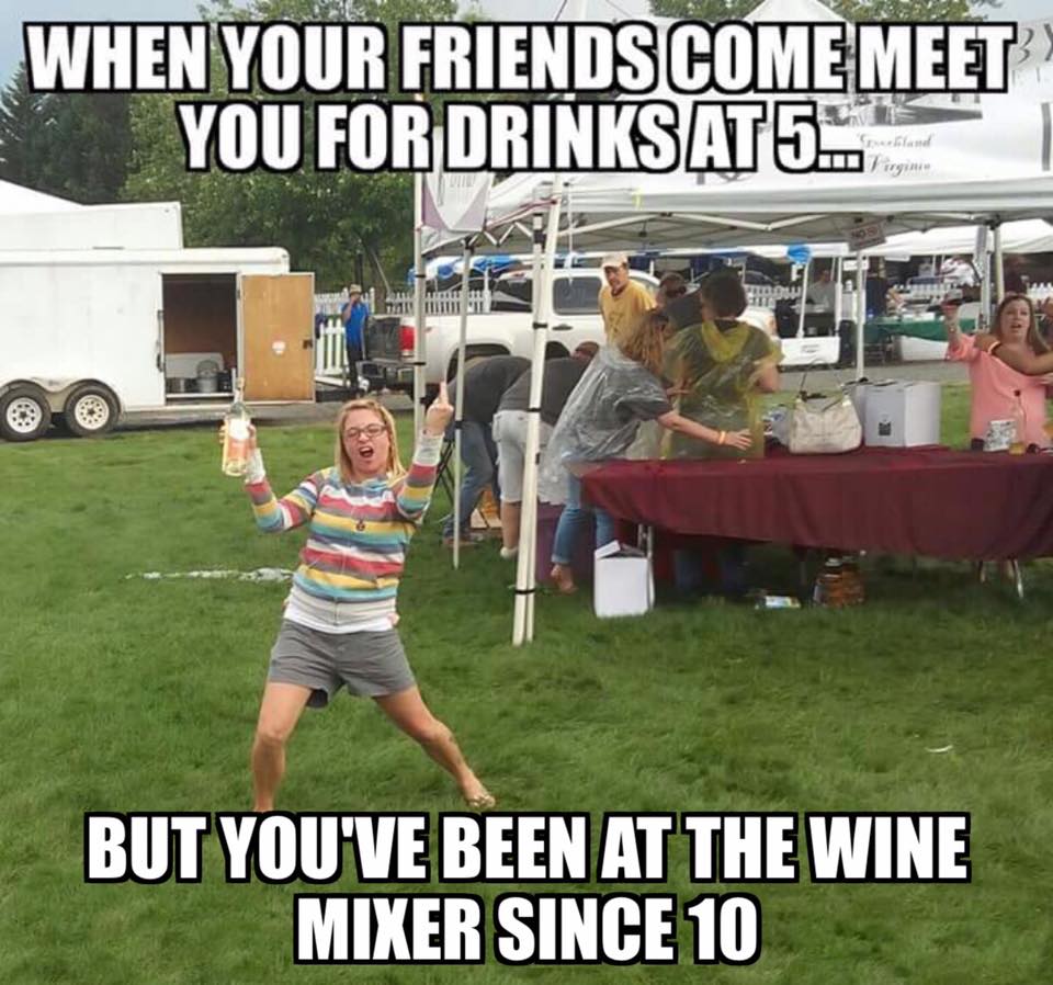 meme - When Your Friends Come Meet You For Drinks AT5. But You'Ve Been At The Wine Mixer Since 10