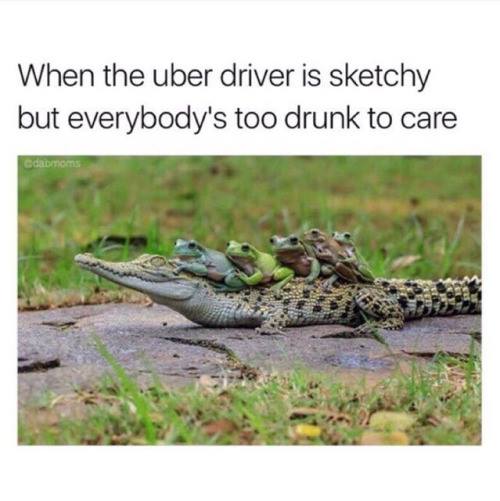 baby crocodile - When the uber driver is sketchy but everybody's too drunk to care Cabrio
