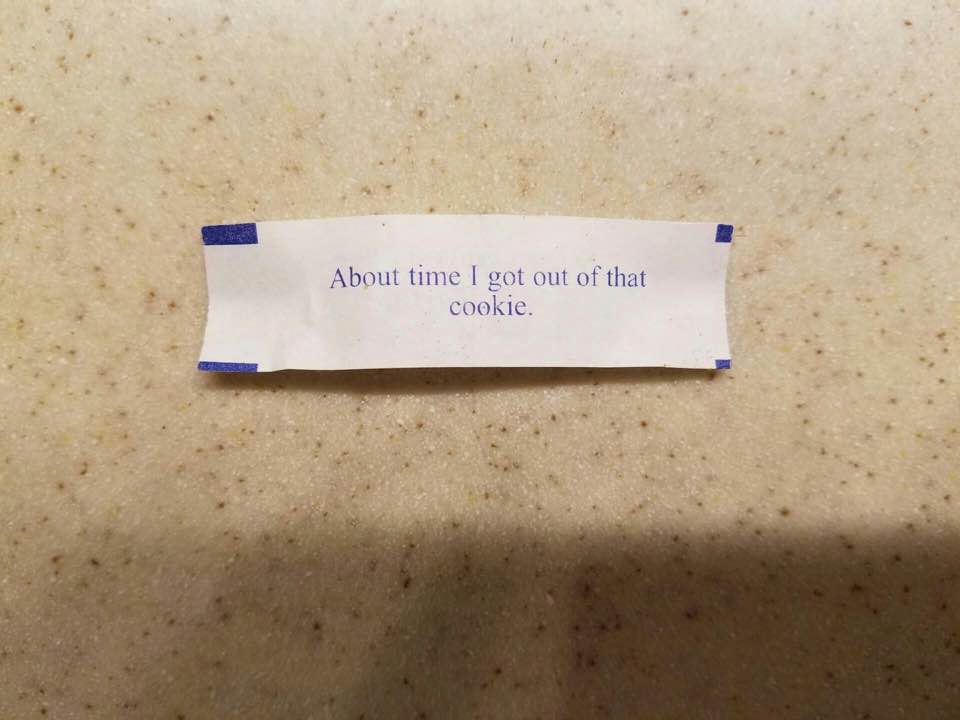 About time I got out of that cookie.