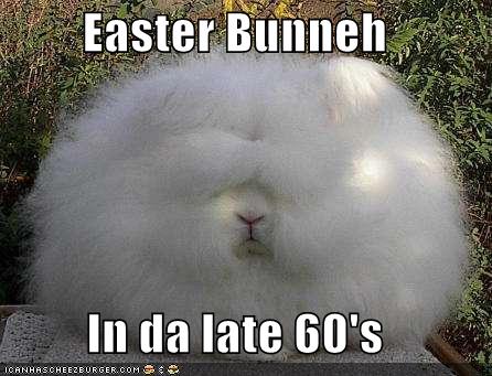 funny fluffy bunnies - Nrc Easter Bunneh In da late 60's Iganhascheezburger.Com