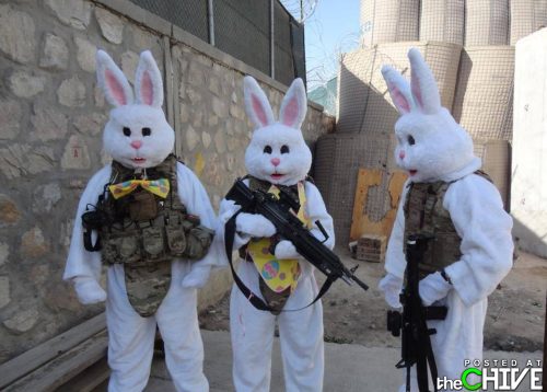 military easter - Posted At theCHIVE