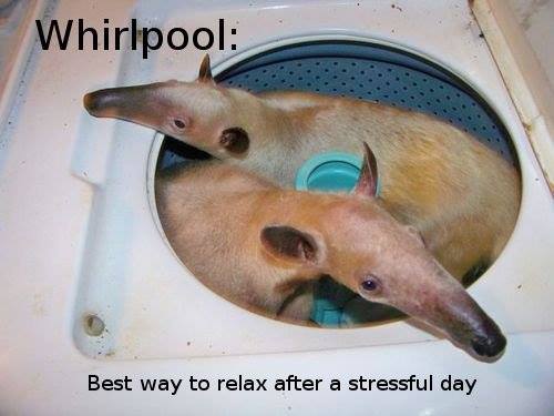photo caption - Whirlpool Best way to relax after a stressful day