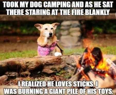 dog camping funny - Took My Dog Camping And As He Sat There Staring At The Fire Blankly I Realized He Loves Sticks. I Was Burningagiant Pile Of His Toys.