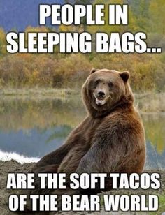 funny camp quotes - People In Sleeping Bags... Are The Soft Tacos Of The Bear World