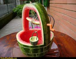 WATERMELON DAY~