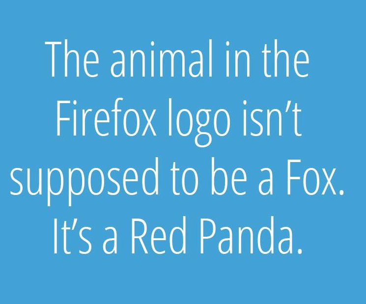 sky - The animal in the Firefox logo isn't supposed to be a Fox. It's a Red Panda.