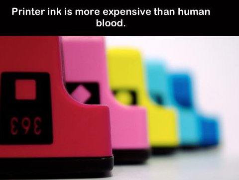 ink cartridges - Printer ink is more expensive than human blood. 89