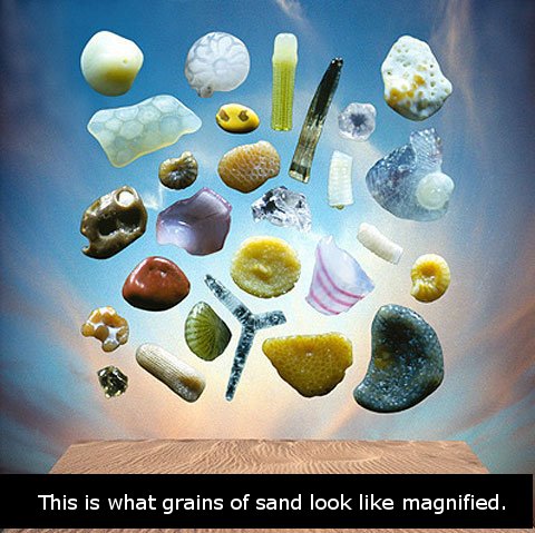 grains of sand - This is what grains of sand look magnified.